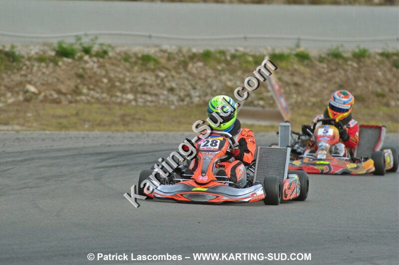 DSC_ (2152).JPG